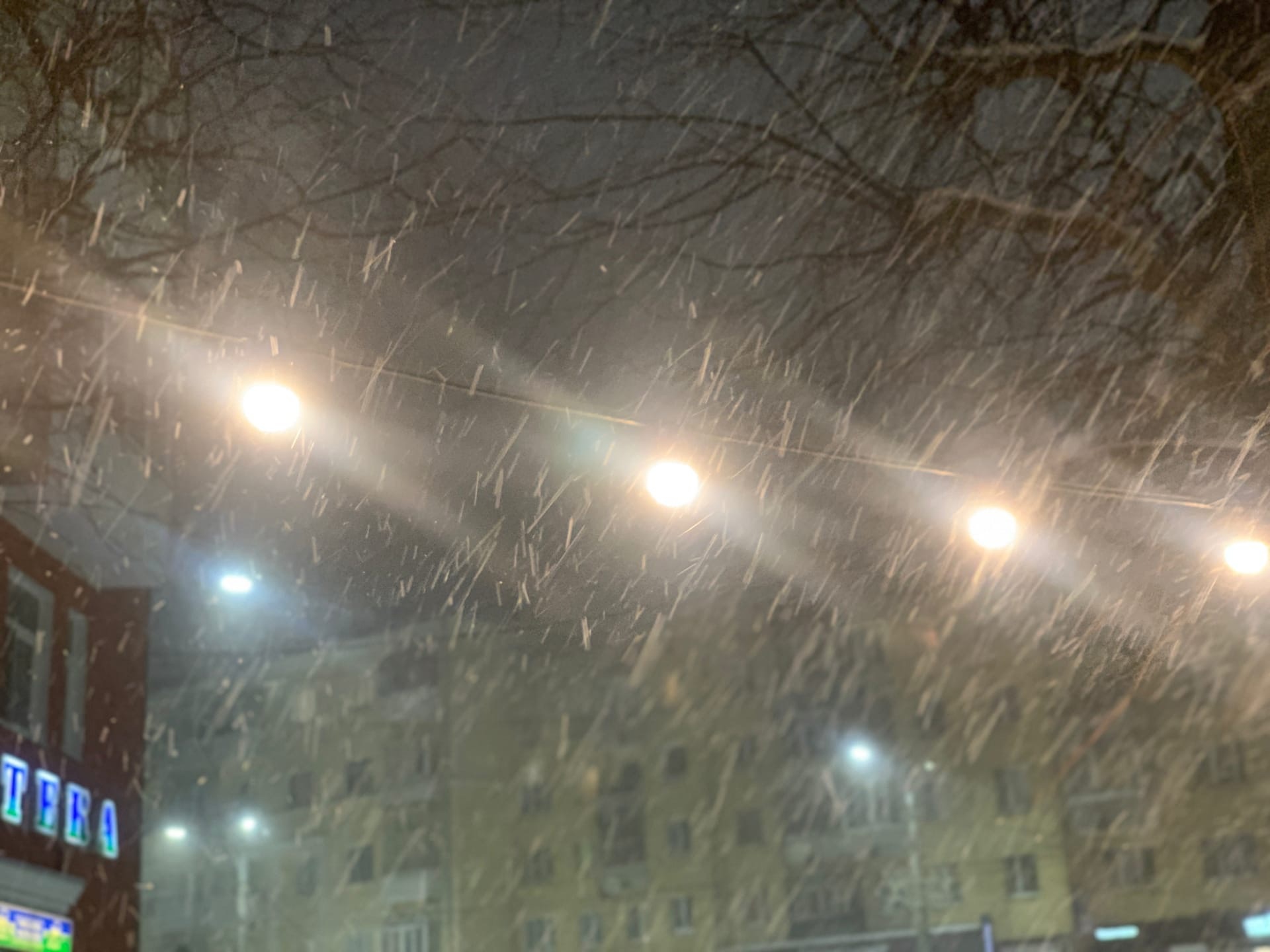 26 февраля в Смоленске ожидаются осадки в виде снега и мокрого снега