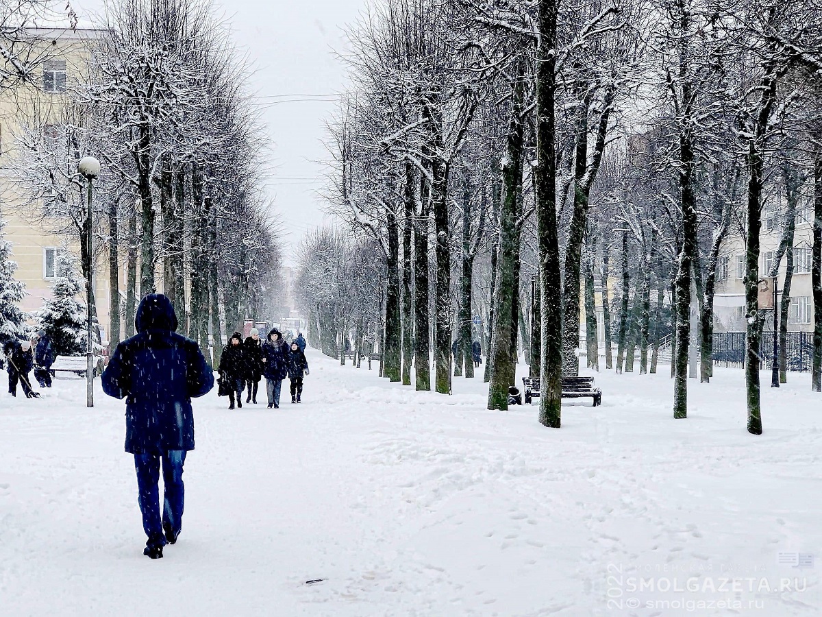 19 февраля в Смоленской области продолжится снегопад
