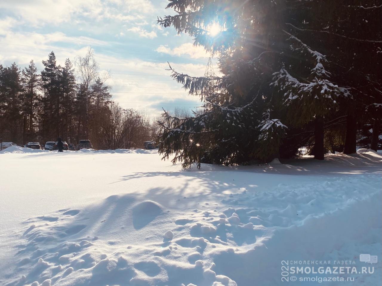В Смоленской области ночью местами подморозит до -28°C