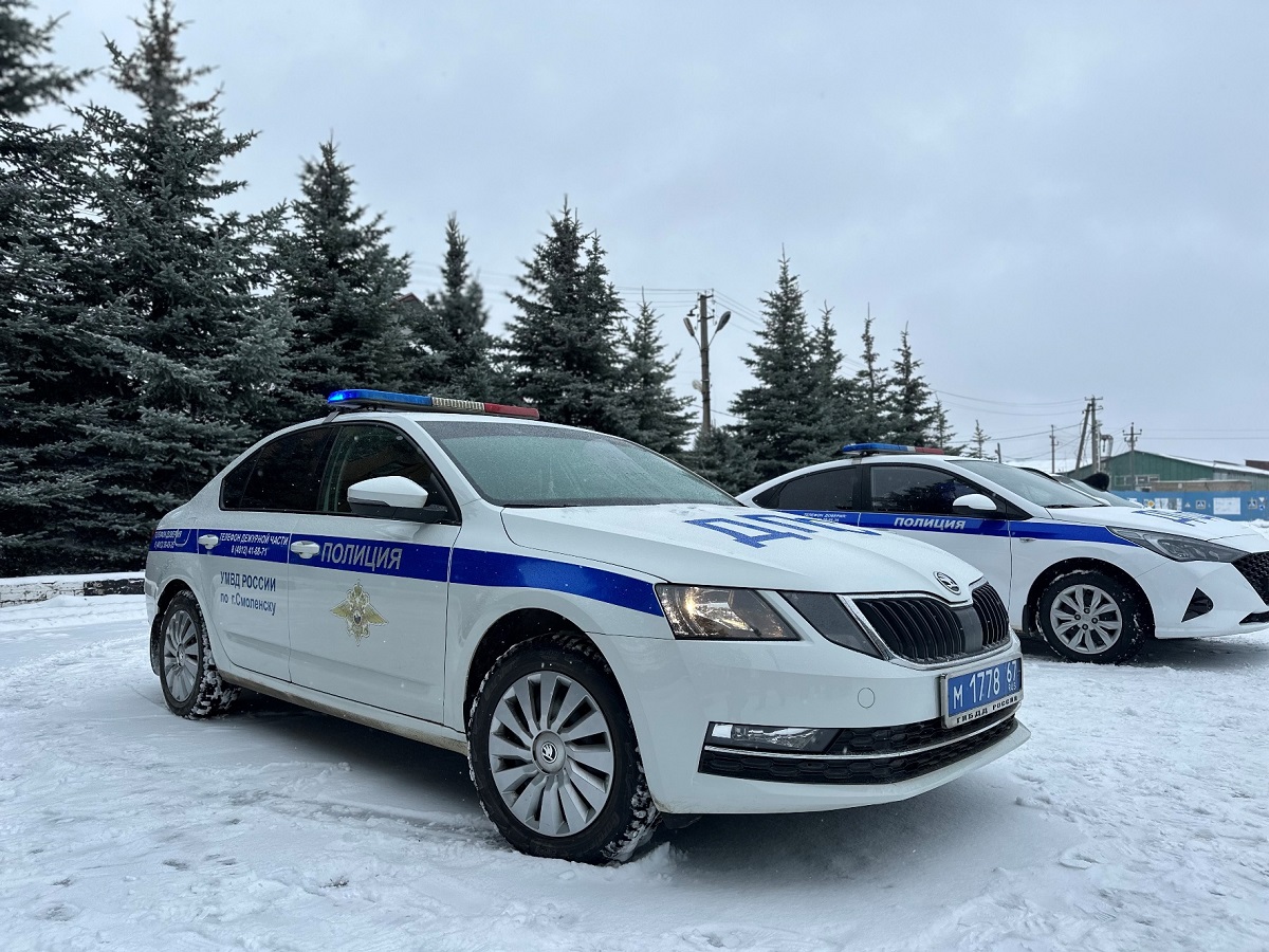 26 февраля дорожная полиция Смоленска проверит водителей