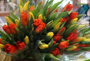 Смолянам рассказали, где можно будет купить цветы к 8 марта