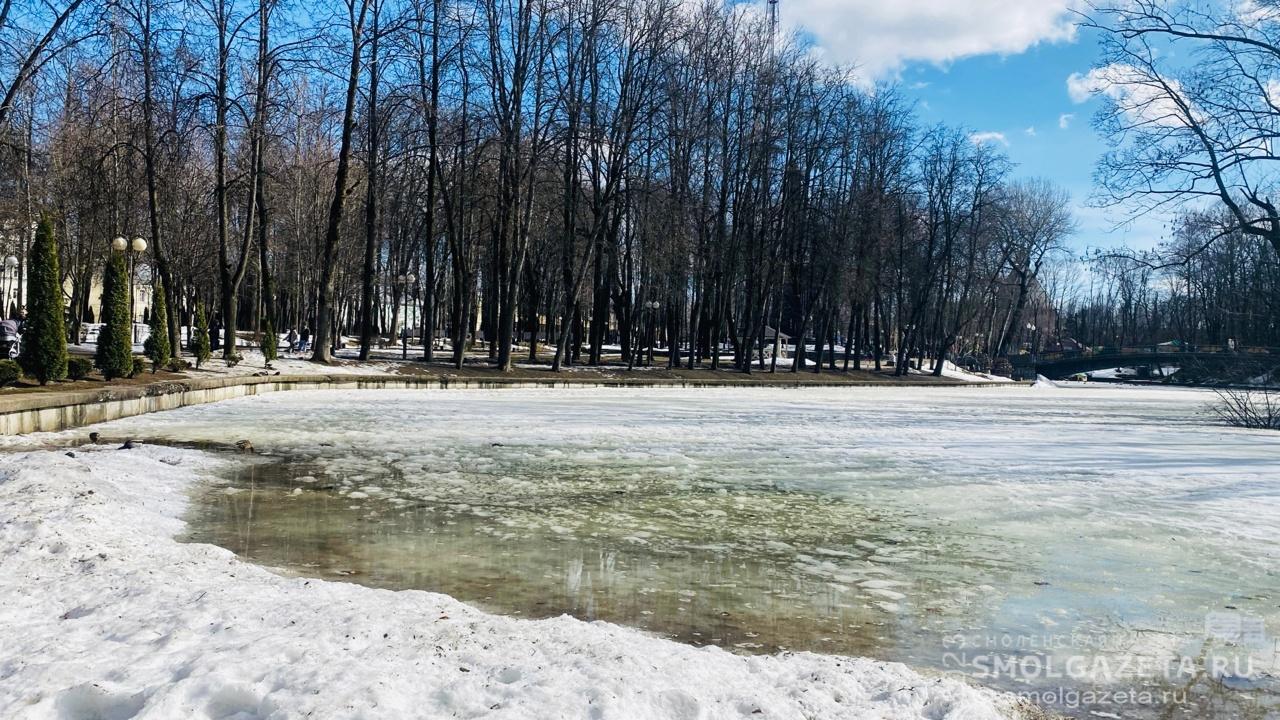 25 марта в Смоленской области ожидаются кратковременные дожди