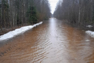 В Ярцевском районе Смоленской области подтопило участок автомобильной дороги