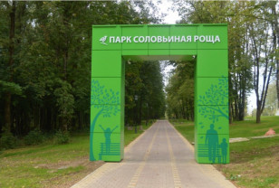 Смоляне могут высказать свое мнение о размещении объектов торговли в парке Соловьиная роща