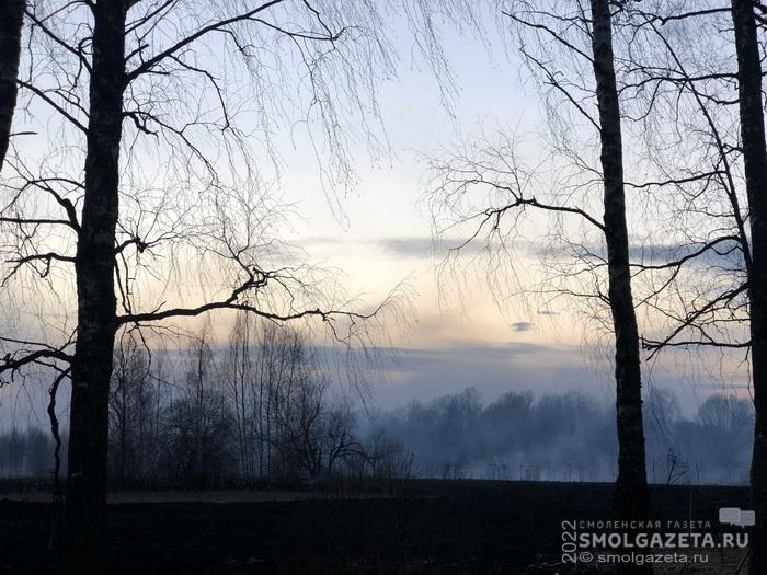 В Смоленск к концу рабочей недели придут похолодание и ветер
