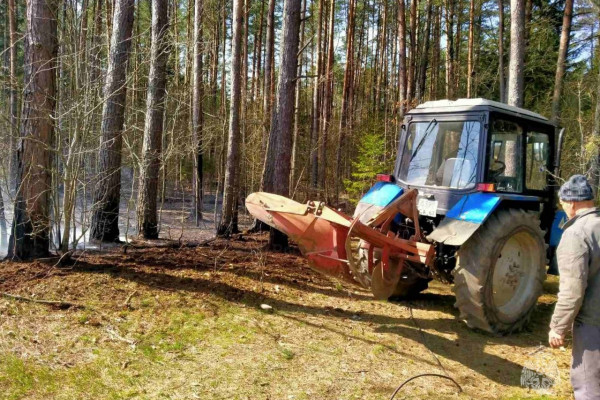 В Шумячском районе Смоленской области произошёл лесной пожар
