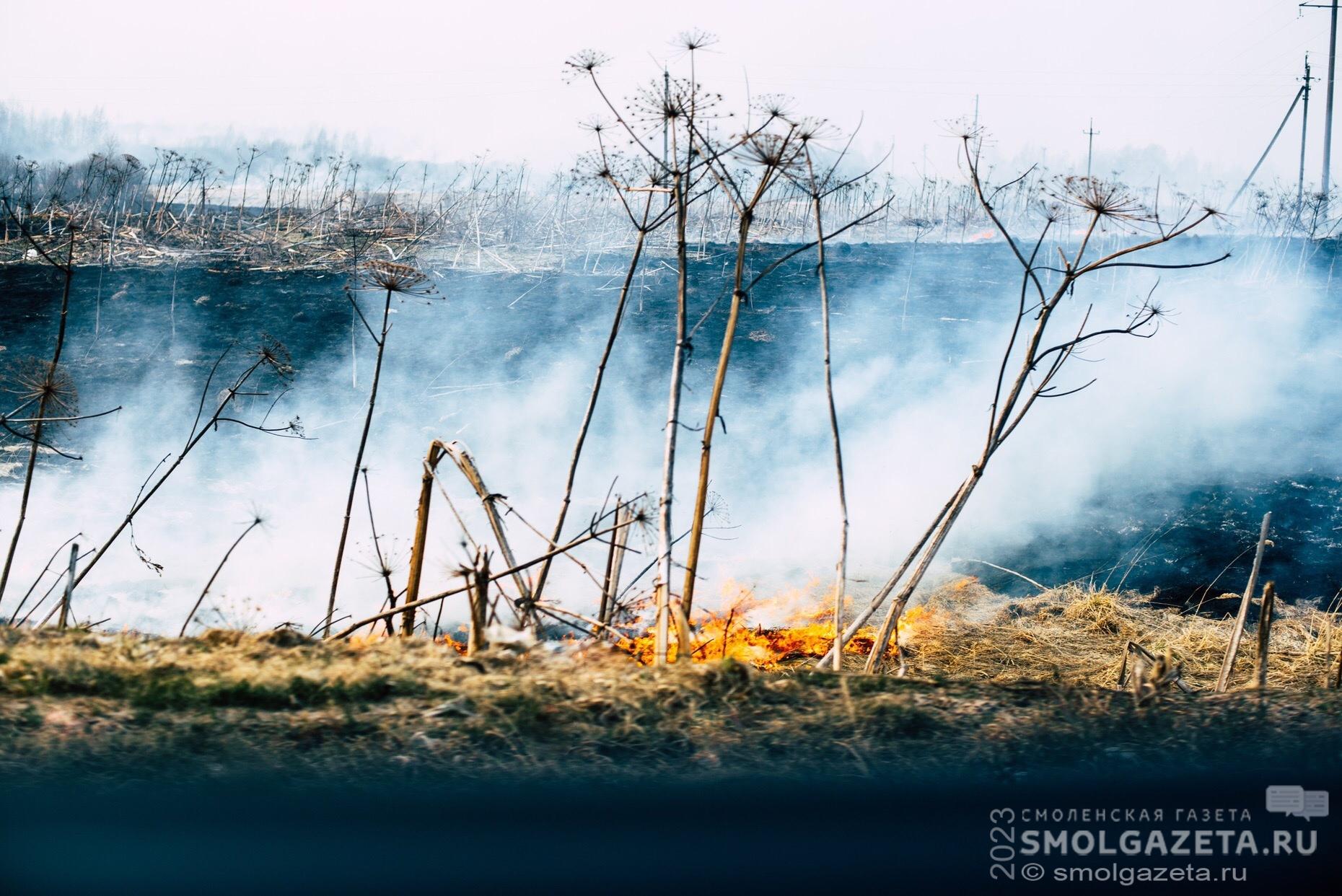 Высокий уровень опасности из-за угрозы пожаров продлили в Смоленске и области