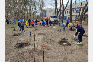 В Смоленской области сотрудники налоговой службы приняли участие в международной акции «Сад Памяти»
