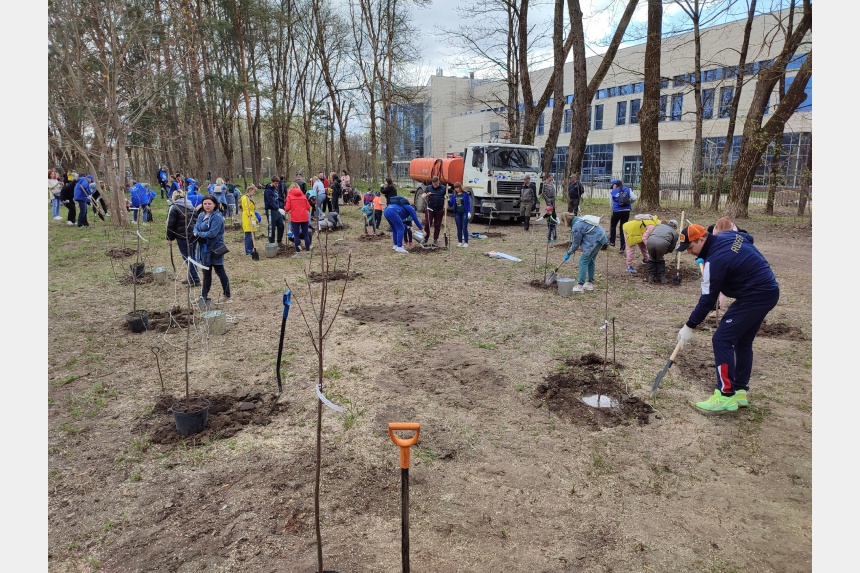 В Смоленской области сотрудники налоговой службы приняли участие в международной акции «Сад Памяти»
