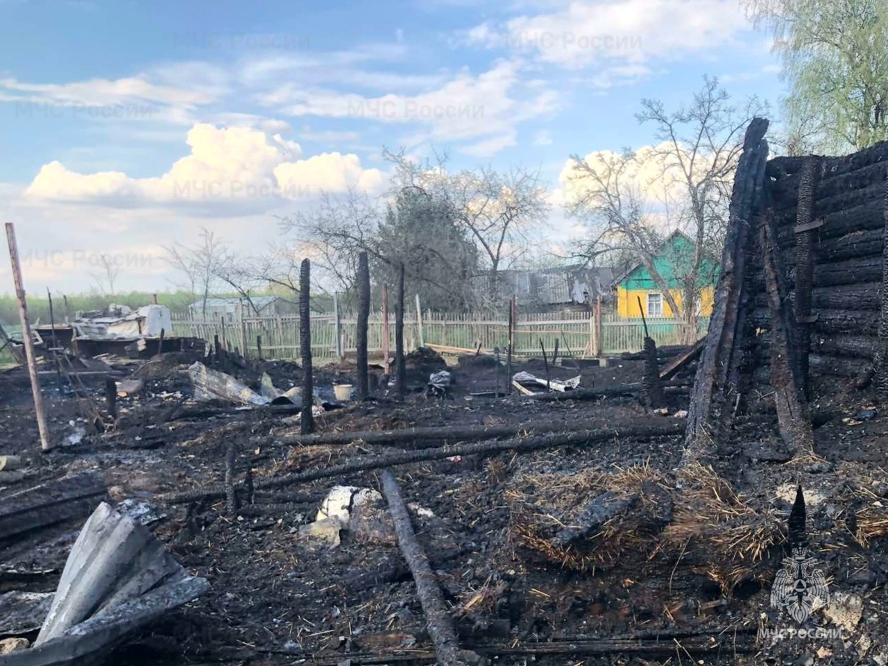 В Смоленском районе при пожаре погибли 12 свиней, две козы и много котов