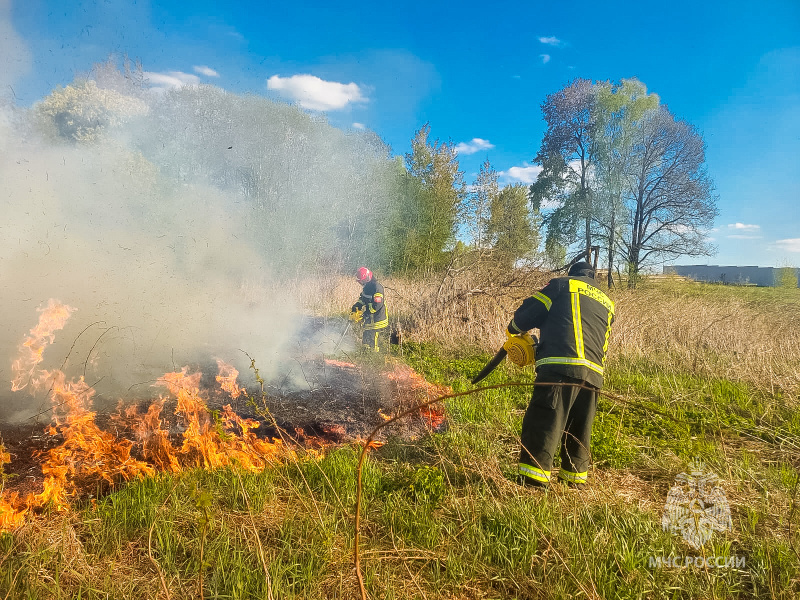 В Смоленской области за сутки выявили восемь палов сухой травяной растительности