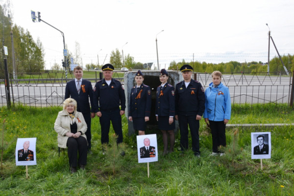 В Смоленской области сотрудники ГИБДД высадили именные сосны в честь ветеранов