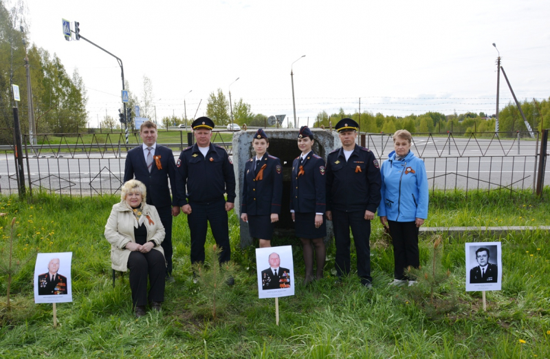 В Смоленской области сотрудники ГИБДД высадили именные сосны в честь ветеранов