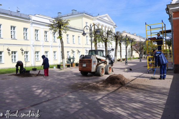 300 деревьев и 150 кустарников планируют высадить в мае в Смоленске в рамках компенсационного озеленения