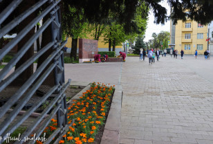 В Смоленске клумбы в сквере Памяти Героев украсили 1500 бархатцев 