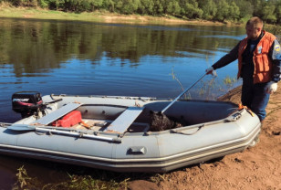 Велижские спасатели на реке Западная Двина помогли собаке попасть с острова на сушу