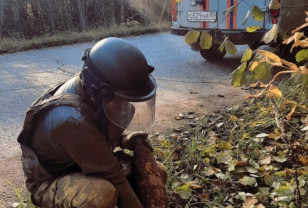 Смоленские сапёры обезвредили артснаряды и миномётную мину военных времён
