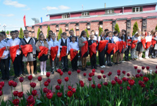 Руднянские школьники вступили в ряды районной пионерской организации имени Михаила Егорова