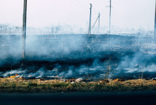 В Смоленской области продлили «жёлтый» уровень погодной опасности из-за риска пожаров