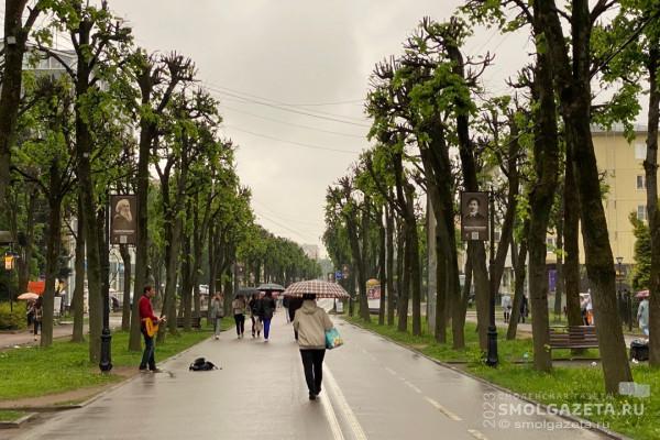 23 мая в Смоленской области ожидается кратковременный дождь с грозой