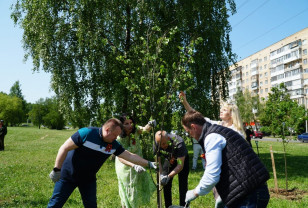 Представители судейского сообщества Смоленской области высадили памятную аллею