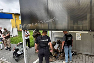 В Закарпатье задержали мужчину, продававшего детей на органы в Европу