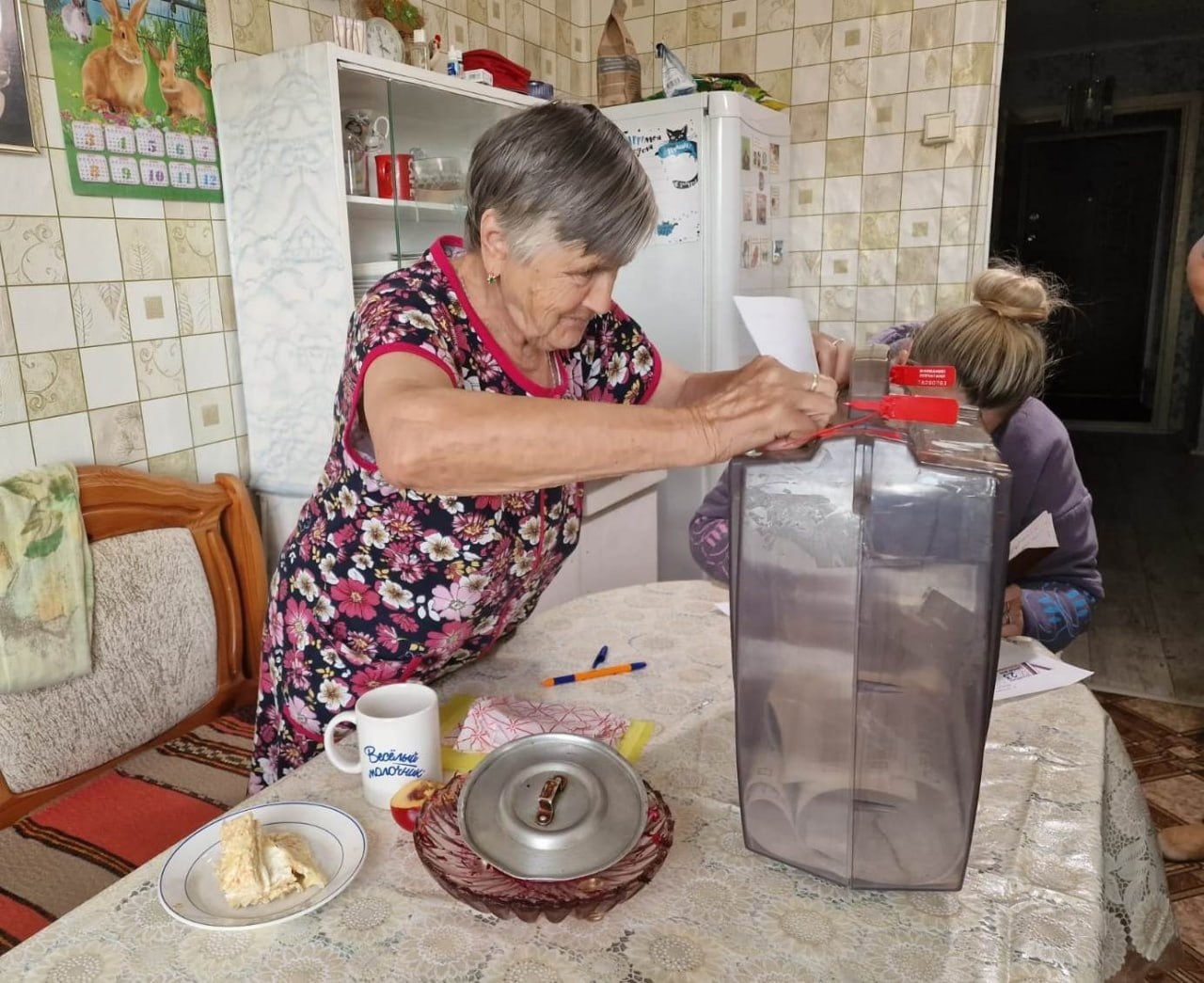 Жители Смоленской области по заявлениям голосуют на дому