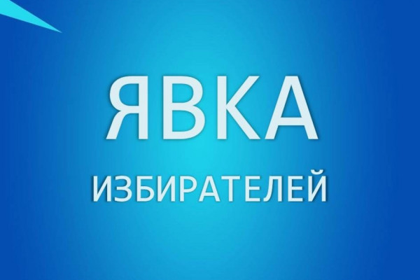 Явка на выборах губернатора Смоленской области к 15 часам 9 сентября составила 21,14%