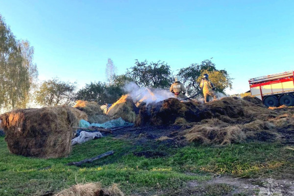 В Краснинском районе огонь уничтожил 17 рулонов сена