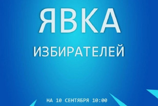 Явка на выборах губернатора Смоленской области к 10 часам 10 сентября составила 25,11%
