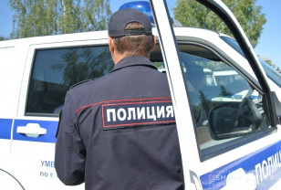 1892 преступления раскрыли в Смоленской области за 8 месяцев 2023 года