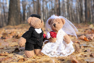 597 пар в сентябре зарегистрировали брак в Смоленской области