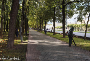 В парках и скверах Смоленска проходит уборка осенней листвы