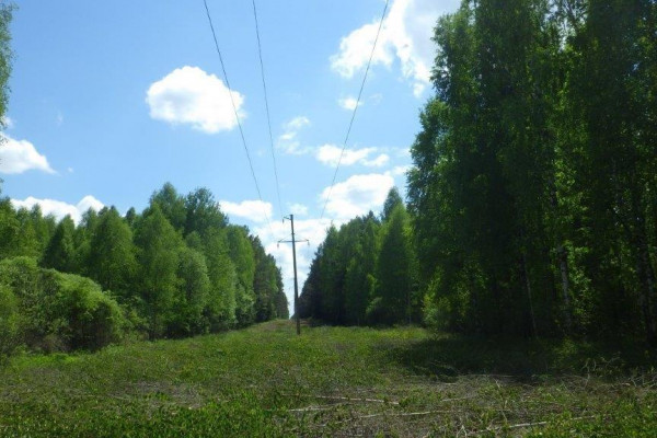 «Смоленскэнерго» в 2023 году расчистило около 3,7 тысячи гектаров просек воздушных линий