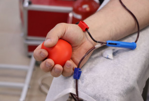 Смоленская область присоединилась к Всероссийскому марафону донорства крови и костного мозга