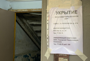 В каком состоянии находятся укрытия в многоквартирных жилых домах в Смоленске