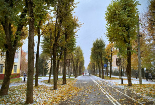 В Смоленской области ожидается снег с дождём в пятницу