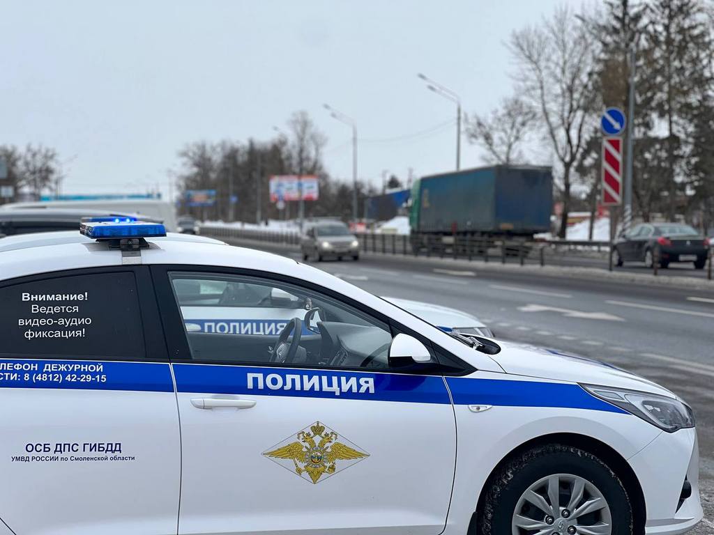 28 октября в Заднепровском районе Смоленска пройдут «сплошные проверки» водителей