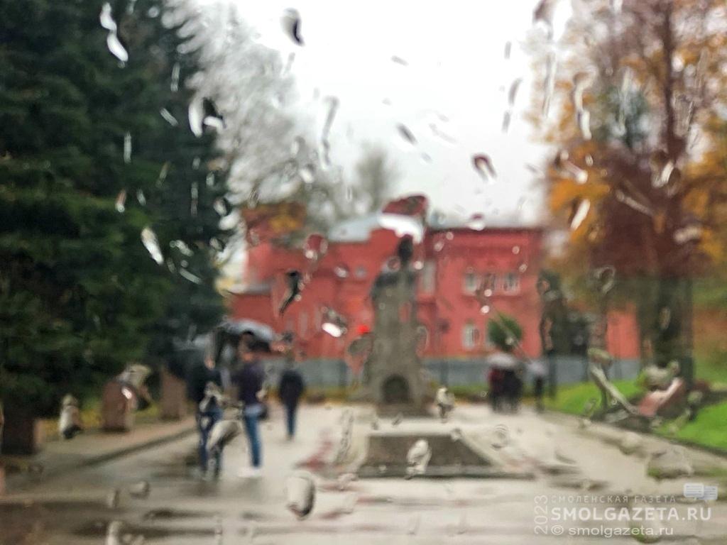 7 ноября в Смоленской области пройдут небольшие дожди