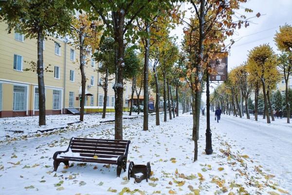13 ноября в Смоленске похолодает до +5°C