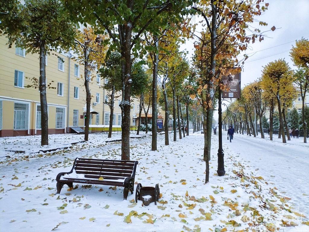 13 ноября в Смоленске похолодает до +5°C