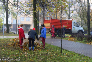 Ежедневно из парков Смоленска вывозят до 40 кубометров опавшей листвы