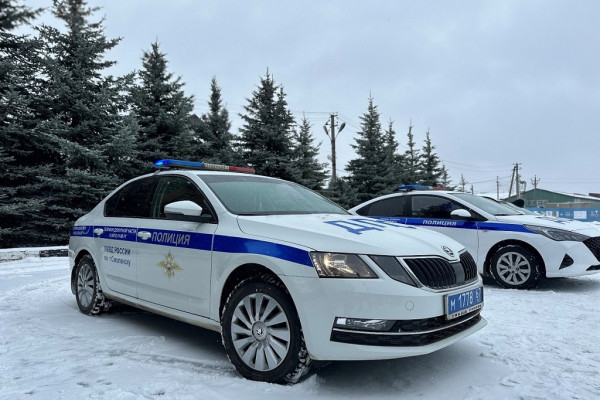 Сегодня в Смоленске дорожная полиция проверит водителей