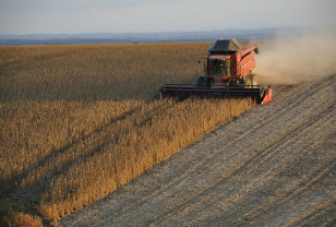 382,8 тысячи тонн зерна намолотили в Смоленской области 