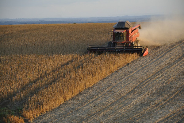 382,8 тысячи тонн зерна намолотили в Смоленской области 
