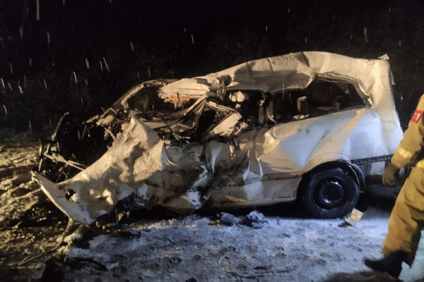 Стали известны подробности смертельной аварии на трассе М-1 в Вяземском районе