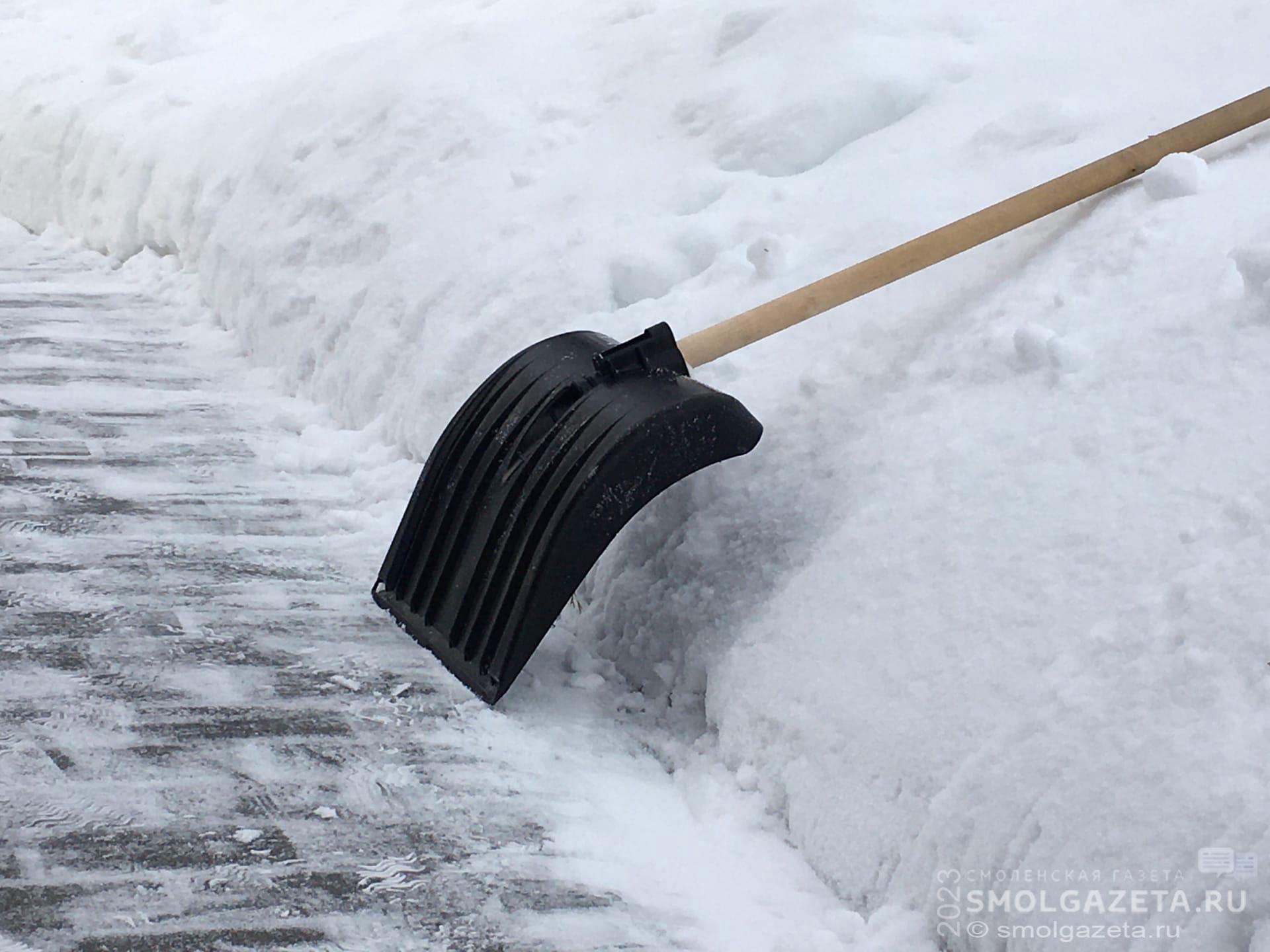 На встрече с главой города смоляне предложили помощь в уборке снега