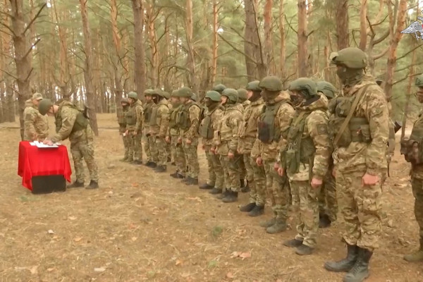 В зоне СВО российским военнослужащим вручили удостоверения ветерана боевых действий