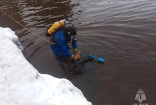 В Смоленской области из озера Акатовское подняли тело утонувшего мужчины
