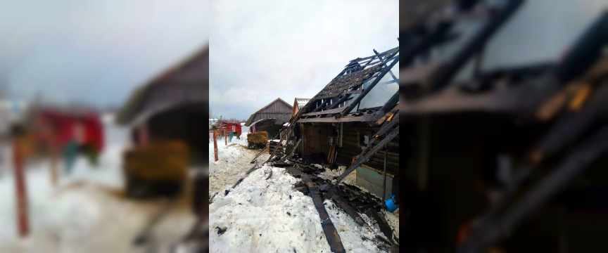 При пожаре в хозпостройке в Смоленской области погибли домашние животные
